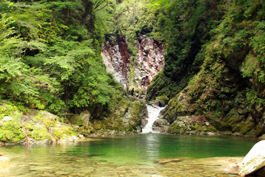 日本の名水百選 山梨県北杜市白州の尾白川（おじらがわ）渓谷へ水遊びに行ってきました。「もう寒くて泳げなかった…。」