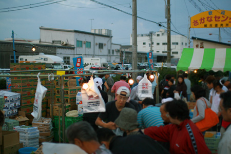三崎漁港（魚市場）の日曜朝市に鮪（まぐろ）を仕入れに行ってきました。