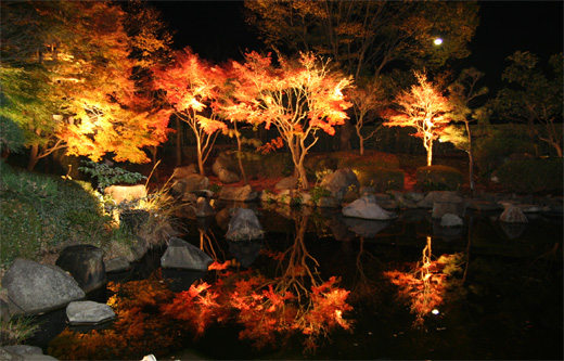 神奈川県大磯町の大磯城山（じょうやま）公園の紅葉ライトアップ見てきました。