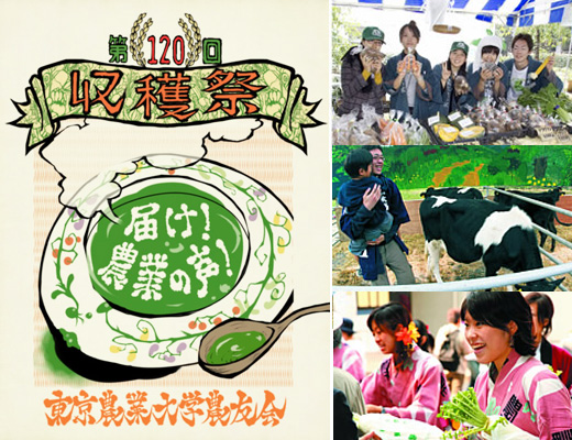 東京農業大学の学園祭「収穫祭」が10月28日(金)～10月30日(日)開催！野菜無料配布などもあるそうです。